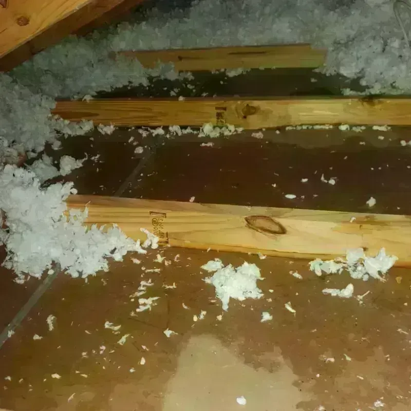 Attic Water Damage in Four Corners, TX