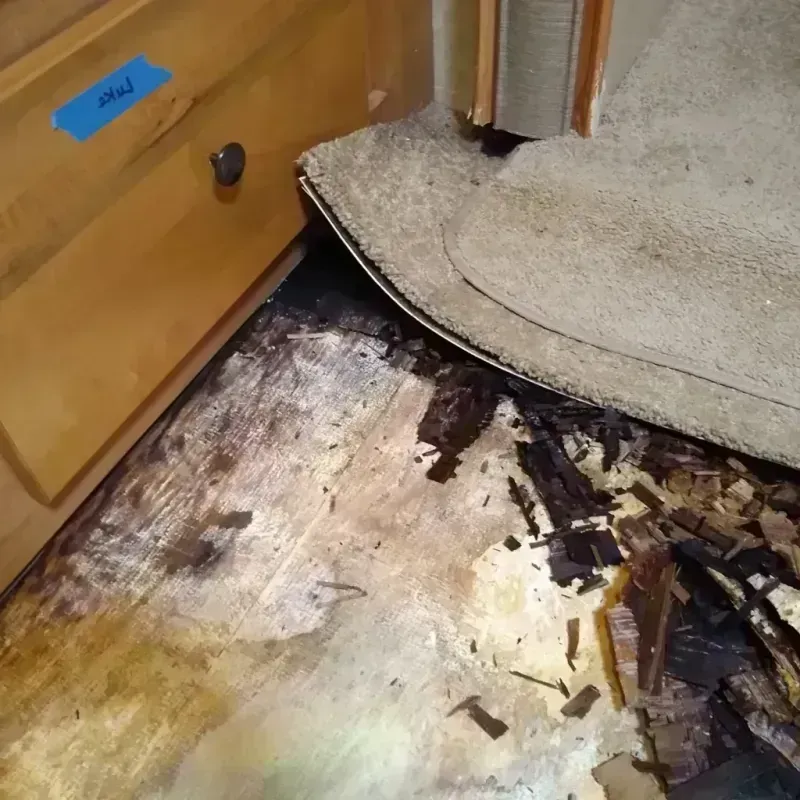 Wood Floor Water Damage in Four Corners, TX